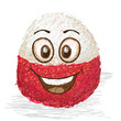 happy lychee fruit