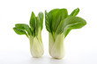Photo: Pak Choi Pak Choi