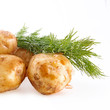 Fresh potatoes with fennel on a white background