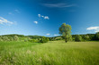 Beautiful landscape
