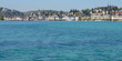 lucerne