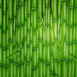 Vektor: Vector Illustration of a Bamboo Background Vector Illustration of a Bamboo Background