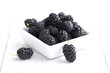 Mulberry - Morus celsa - Gelsi