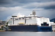 Luxury Cruise Ship Anchored in the Norway Oslo
