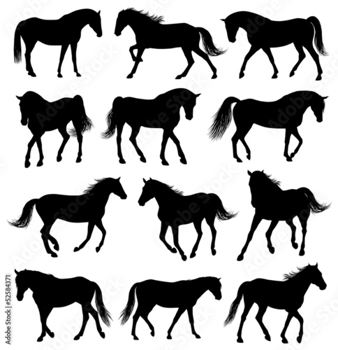 Vector: Set of 12 horses silhouettes Set of 12 horses silhouettes