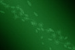 Fond Vert Nature