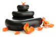 Spa stones and flowers isolated on white