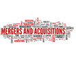 Mergers and Acquisitions (takeover, fusion, merger, acquisition)