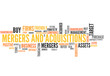 Mergers and Acquisitions (takeover, fusion, merger, acquisition)