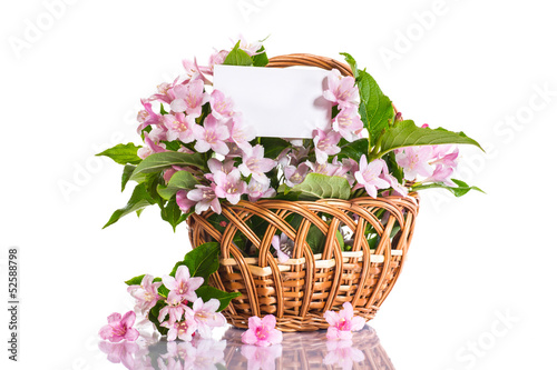 Photo: Weigel beautiful blooming flowers Weigel beautiful blooming flowers
