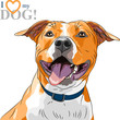 Vector: vector sketch smiling dog American Staffordshire Terrier breed vector sketch smiling dog American Staffordshire Terrier breed