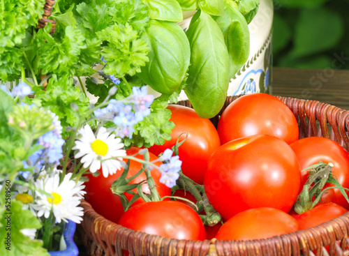 Photo: Tomatenernte Tomatenernte