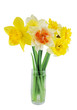 Narcissuses in a glass