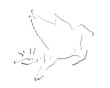 Pegasus Abstract