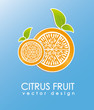 orange citrus fruit