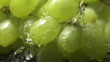 bunch of green grapes on a black background with water drops