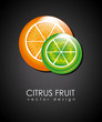 citrus fruit