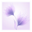 vector background with flowers