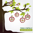 family tree