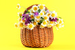 Beautiful Wild Flowers In Bask...