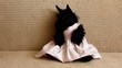 Scottish Terrier dog in a dress