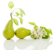 Pears with leaves