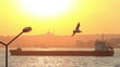 Tanker ship sailing at sunset in Istanbul