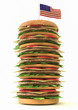 BIg Hamburger