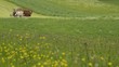 Bauer bei der Wiesenmahd