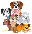 Image with dog topic 8