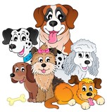 Image with dog topic 8