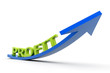 Growing profit graph.