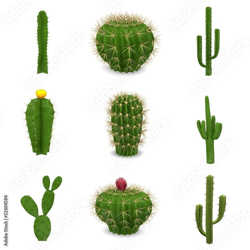 Illustration: 3d renders of cactuses set 3d renders of cactuses set