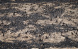 Burn forest ground