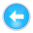 back icon light blue circle