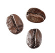 Coffee Bean