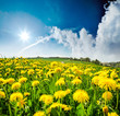 Landschaft Im Frühling: üppi... Landschaft Im Frühling: üppi...
