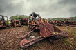 rusty excavator