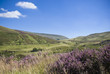 Idyllic Rural, Brecon Beacons, Wales, UK