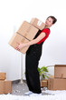 L_Carton