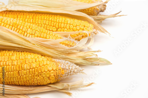 Photo: Yellow corn cob Yellow corn cob