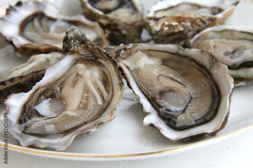Photo: huitres huitres