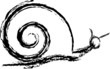 lumaca
