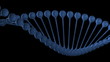 Video: A strand of DNA rotating. A strand of DNA rotating.
