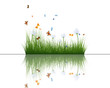 grass with reflections in water