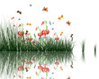 grass with reflections in water