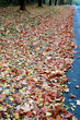 Automne 7Sorts 2