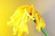 Yellow mop for floor on light background