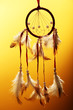 Beautiful dream catcher on yellow background