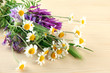 Wild Flowers And Green Spikele...